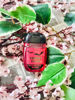 Imagen de Bath & Body works Gel Antibacterial Varios